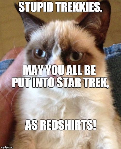 Grumpy Cat | STUPID TREKKIES. MAY YOU ALL BE PUT INTO STAR TREK, AS REDSHIRTS! | image tagged in memes,grumpy cat | made w/ Imgflip meme maker