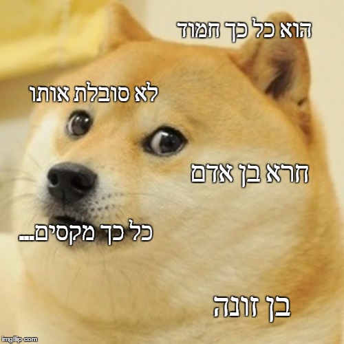 Doge Meme | הוא כל כך חמוד; לא סובלת אותו; חרא בן אדם; ...כל כך מקסים; בן זונה | image tagged in memes,doge | made w/ Imgflip meme maker