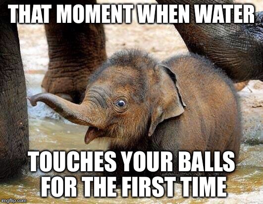 Baby Elephant |  THAT MOMENT WHEN WATER; TOUCHES YOUR BALLS FOR THE FIRST TIME | image tagged in baby elephant | made w/ Imgflip meme maker