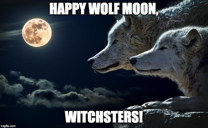 Wolf Moon | HAPPY WOLF MOON, WITCHSTERS! | image tagged in wolf moon | made w/ Imgflip meme maker