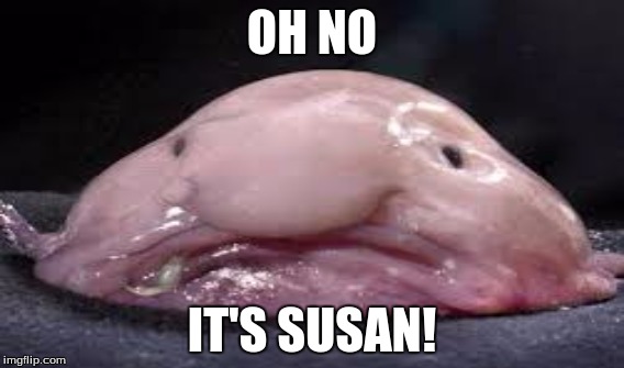 Susan | OH NO; IT'S SUSAN! | image tagged in ewwww,unhelpful teacher | made w/ Imgflip meme maker