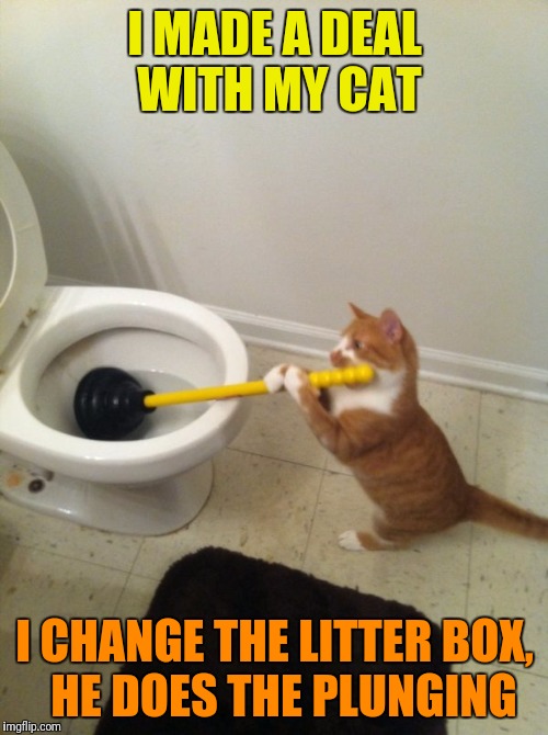 I MADE A DEAL WITH MY CAT I CHANGE THE LITTER BOX,  HE DOES THE PLUNGING | made w/ Imgflip meme maker