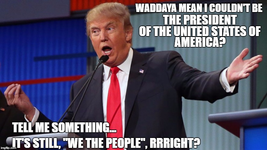 Trump sells, but who's buying? | WADDAYA MEAN I COULDN'T BE; THE PRESIDENT; OF THE UNITED STATES OF; AMERICA? TELL ME SOMETHING... IT'S STILL, "WE THE PEOPLE", RRRIGHT? | image tagged in trump,peace sells,megadeth | made w/ Imgflip meme maker