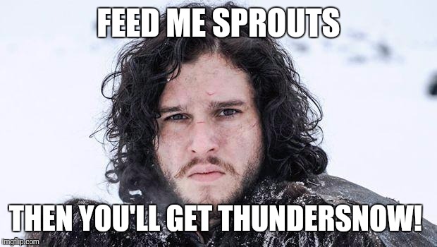 Thundersnow | FEED ME SPROUTS; THEN YOU'LL GET THUNDERSNOW! | image tagged in jon snow | made w/ Imgflip meme maker