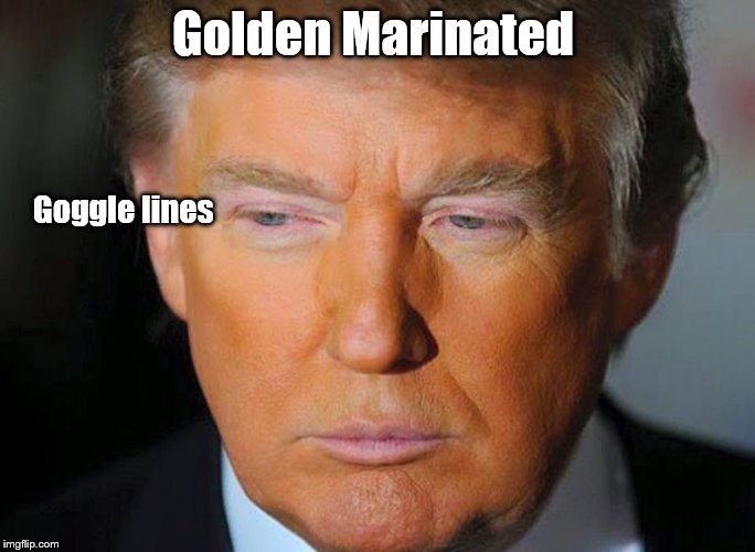 Orange Trump | Golden Marinated; Goggle lines | image tagged in orange trump | made w/ Imgflip meme maker