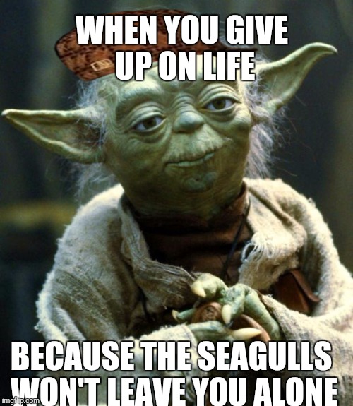 Star Wars Yoda | WHEN YOU GIVE UP ON LIFE; BECAUSE THE SEAGULLS WON'T LEAVE YOU ALONE | image tagged in memes,star wars yoda,scumbag | made w/ Imgflip meme maker