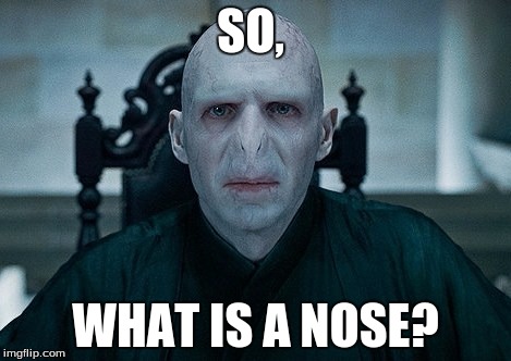 Lord Voldemort | SO, WHAT IS A NOSE? | image tagged in lord voldemort | made w/ Imgflip meme maker