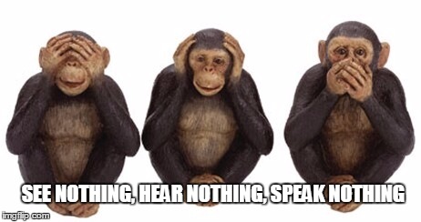 Hear no evil |  SEE NOTHING, HEAR NOTHING, SPEAK NOTHING | image tagged in hear no evil | made w/ Imgflip meme maker