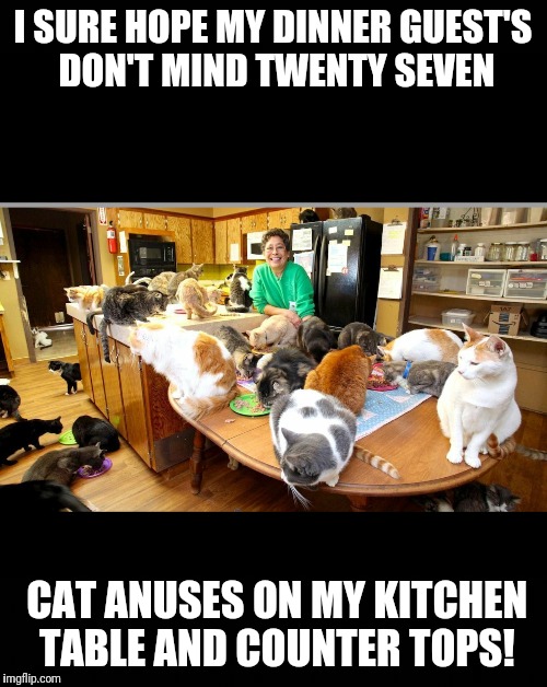 I SURE HOPE MY DINNER GUEST'S DON'T MIND TWENTY SEVEN; CAT ANUSES ON MY KITCHEN TABLE AND COUNTER TOPS! | image tagged in crazy cat lady | made w/ Imgflip meme maker