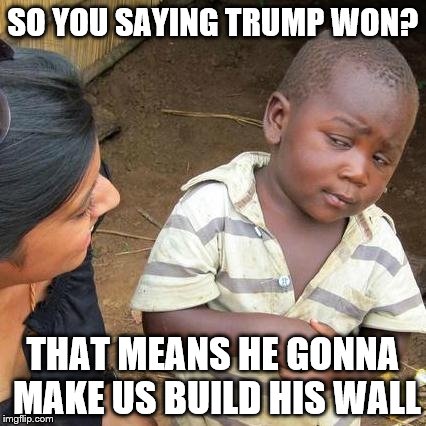 Third World Skeptical Kid Meme | SO YOU SAYING TRUMP WON? THAT MEANS HE GONNA MAKE US BUILD HIS WALL | image tagged in memes,third world skeptical kid | made w/ Imgflip meme maker