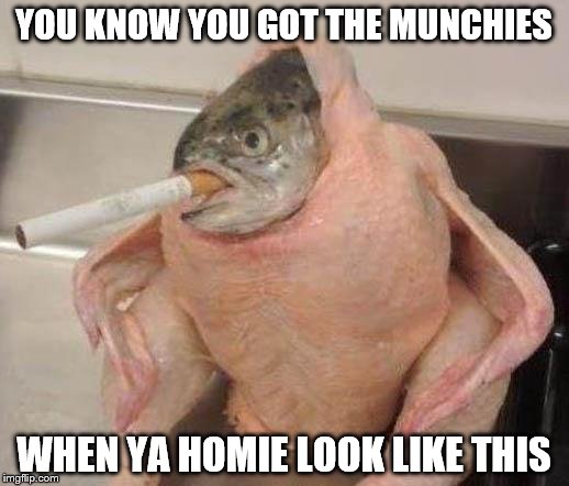 Bad ass fish | YOU KNOW YOU GOT THE MUNCHIES; WHEN YA HOMIE LOOK LIKE THIS | image tagged in bad ass fish | made w/ Imgflip meme maker