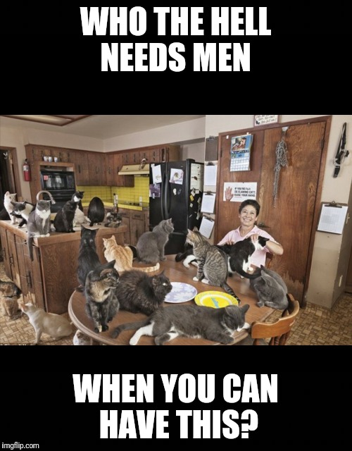 WHO THE HELL NEEDS MEN; WHEN YOU CAN HAVE THIS? | image tagged in crazy cat lady | made w/ Imgflip meme maker
