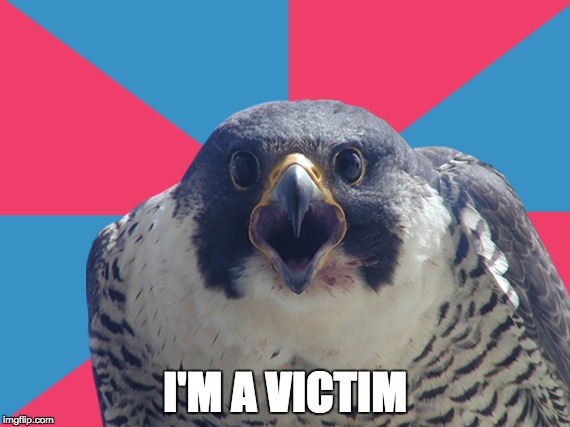 Millenial Falcon | I'M A VICTIM | image tagged in millenial falcon | made w/ Imgflip meme maker
