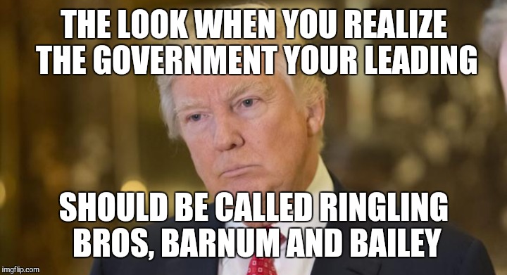 Circus | THE LOOK WHEN YOU REALIZE THE GOVERNMENT YOUR LEADING; SHOULD BE CALLED RINGLING BROS, BARNUM AND BAILEY | image tagged in john mccain,donald trump,circus,funny,funny memes,true dat | made w/ Imgflip meme maker