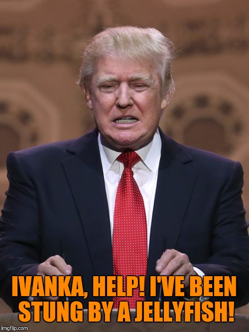 Donald Trump | IVANKA, HELP! I'VE BEEN STUNG BY A JELLYFISH! | image tagged in donald trump,golden showers,memes | made w/ Imgflip meme maker