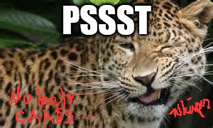 PSSST | image tagged in cheetah | made w/ Imgflip meme maker