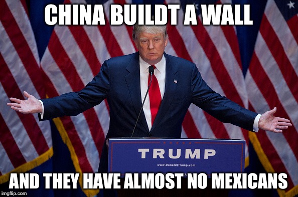 Donald Trump | CHINA BUILDT A WALL; AND THEY HAVE ALMOST NO MEXICANS | image tagged in donald trump,memes | made w/ Imgflip meme maker