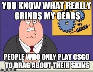 You know what grinds my gears | YOU KNOW WHAT REALLY GRINDS MY GEARS; PEOPLE WHO ONLY PLAY CSGO TO BRAG ABOUT THEIR SKINS | image tagged in you know what grinds my gears | made w/ Imgflip meme maker