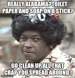 AUNT ESTHER | REALLY ALABAMA?TOILET PAPER AND SOAP ON A STICK? GO CLEAN UP ALL THAT CRAP YOU SPREAD AROUND ! | image tagged in aunt esther | made w/ Imgflip meme maker
