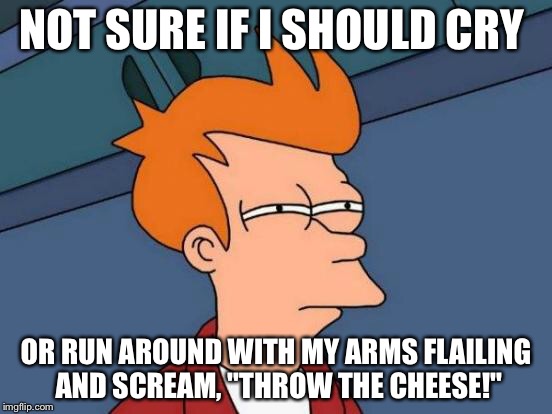Futurama Fry Meme | NOT SURE IF I SHOULD CRY OR RUN AROUND WITH MY ARMS FLAILING AND SCREAM, "THROW THE CHEESE!" | image tagged in memes,futurama fry | made w/ Imgflip meme maker