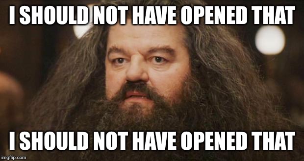 Hagrid | I SHOULD NOT HAVE OPENED THAT; I SHOULD NOT HAVE OPENED THAT | image tagged in hagrid | made w/ Imgflip meme maker