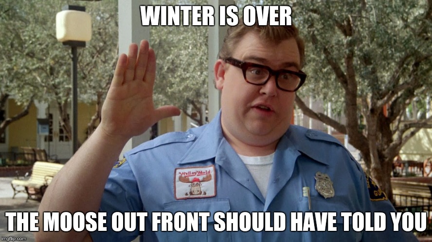 Winter is Over | WINTER IS OVER; THE MOOSE OUT FRONT SHOULD HAVE TOLD YOU | image tagged in wally world | made w/ Imgflip meme maker