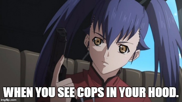 Guarding the hood | WHEN YOU SEE COPS IN YOUR HOOD. | image tagged in cops,in the hood,anime | made w/ Imgflip meme maker