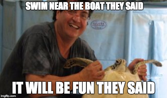 SWIM NEAR THE BOAT THEY SAID; IT WILL BE FUN THEY SAID | image tagged in turtles,fun,upset,friends,unbelievable | made w/ Imgflip meme maker
