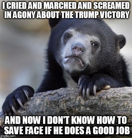 Confession Bear Meme | I CRIED AND MARCHED AND SCREAMED IN AGONY ABOUT THE TRUMP VICTORY; AND NOW I DON'T KNOW HOW TO SAVE FACE IF HE DOES A GOOD JOB | image tagged in memes,confession bear | made w/ Imgflip meme maker