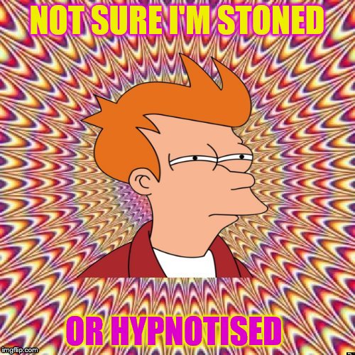 Fried Fry | NOT SURE I'M STONED OR HYPNOTISED | image tagged in fried fry | made w/ Imgflip meme maker
