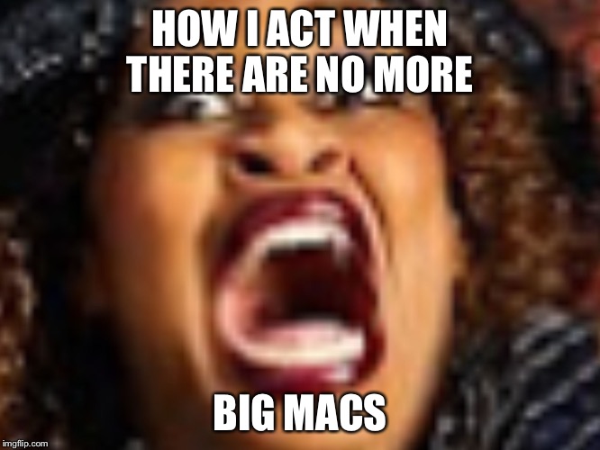 HOW I ACT WHEN THERE ARE NO MORE; BIG MACS | image tagged in memes | made w/ Imgflip meme maker