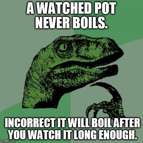 Philosoraptor | A WATCHED POT NEVER BOILS. INCORRECT IT WILL BOIL AFTER YOU WATCH IT LONG ENOUGH. | image tagged in memes,philosoraptor,boils,pot,watch | made w/ Imgflip meme maker