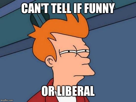 Futurama Fry Meme | CAN'T TELL IF FUNNY OR LIBERAL | image tagged in memes,futurama fry | made w/ Imgflip meme maker