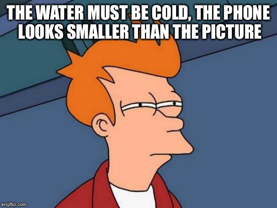 Futurama Fry Meme | THE WATER MUST BE COLD, THE PHONE LOOKS SMALLER THAN THE PICTURE | image tagged in memes,futurama fry | made w/ Imgflip meme maker