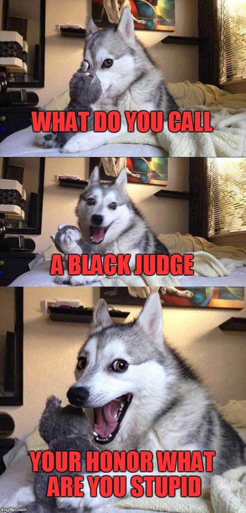 Bad Pun Dog | WHAT DO YOU CALL; A BLACK JUDGE; YOUR HONOR WHAT ARE YOU STUPID | image tagged in memes,bad pun dog,joke,firememe | made w/ Imgflip meme maker