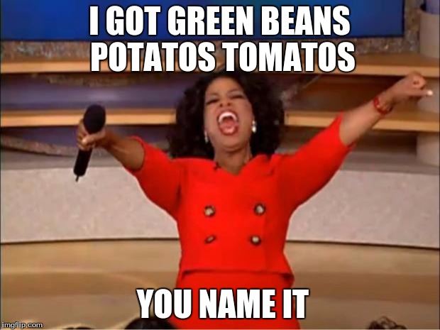 Oprah You Get A Meme | I GOT GREEN BEANS POTATOS TOMATOS; YOU NAME IT | image tagged in memes,oprah you get a | made w/ Imgflip meme maker