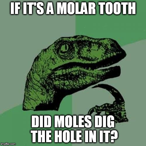 Philosoraptor Meme | IF IT'S A MOLAR TOOTH; DID MOLES DIG THE HOLE IN IT? | image tagged in memes,philosoraptor | made w/ Imgflip meme maker