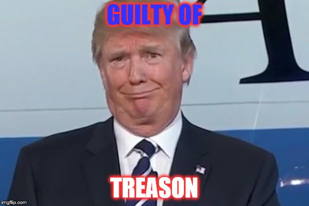 donald trump | GUILTY OF; TREASON | image tagged in donald trump | made w/ Imgflip meme maker