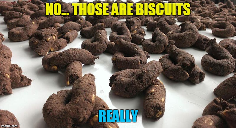 Very realistic, though | NO... THOSE ARE BISCUITS; REALLY | image tagged in memes,shit,sweets | made w/ Imgflip meme maker