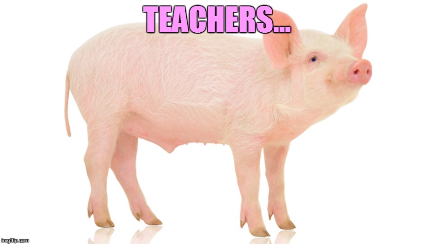 TEACHERS... | made w/ Imgflip meme maker