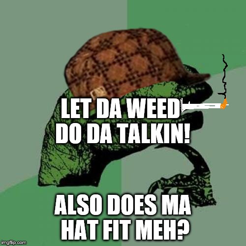 Philosoraptor Meme | LET DA WEED DO DA TALKIN! ALSO DOES MA HAT FIT MEH? | image tagged in memes,philosoraptor,scumbag | made w/ Imgflip meme maker
