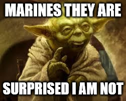 yoda | MARINES THEY ARE; SURPRISED I AM NOT | image tagged in yoda | made w/ Imgflip meme maker