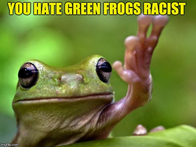 YOU HATE GREEN FROGS RACIST | made w/ Imgflip meme maker