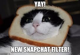 SnapCat | image tagged in snapchat,cat | made w/ Imgflip meme maker