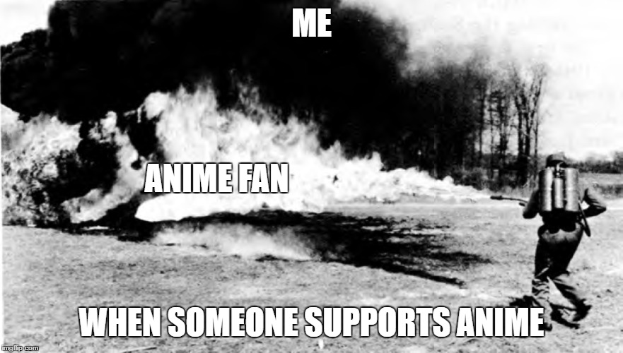 you get the point | ME; ANIME FAN; WHEN SOMEONE SUPPORTS ANIME | image tagged in anime,flamethrower | made w/ Imgflip meme maker
