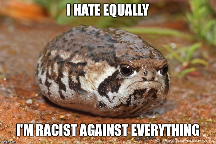 Hate equally | I HATE EQUALLY I'M RACIST AGAINST EVERYTHING | image tagged in hate equally | made w/ Imgflip meme maker