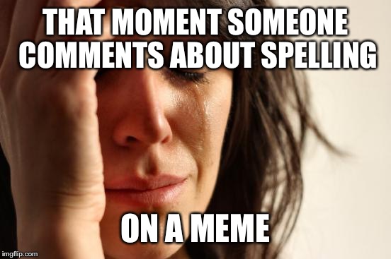 First World Problems | THAT MOMENT SOMEONE COMMENTS ABOUT SPELLING; ON A MEME | image tagged in memes,first world problems | made w/ Imgflip meme maker