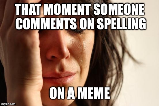 First World Problems | THAT MOMENT SOMEONE COMMENTS ON SPELLING; ON A MEME | image tagged in memes,first world problems | made w/ Imgflip meme maker