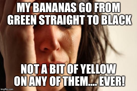 First World Problems Meme | MY BANANAS GO FROM GREEN STRAIGHT TO BLACK NOT A BIT OF YELLOW ON ANY OF THEM.... EVER! | image tagged in memes,first world problems | made w/ Imgflip meme maker