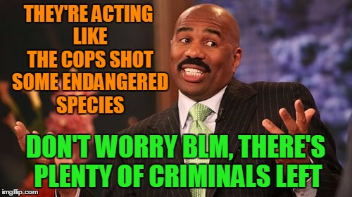 Steve Harvey Meme | THEY'RE ACTING LIKE THE COPS SHOT SOME ENDANGERED SPECIES DON'T WORRY BLM, THERE'S PLENTY OF CRIMINALS LEFT | image tagged in memes,steve harvey | made w/ Imgflip meme maker